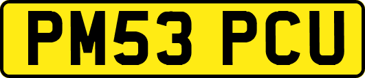 PM53PCU
