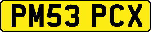 PM53PCX