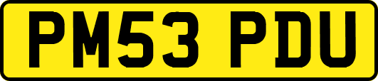 PM53PDU