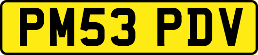 PM53PDV