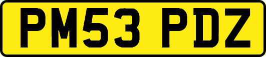 PM53PDZ
