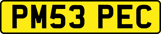 PM53PEC