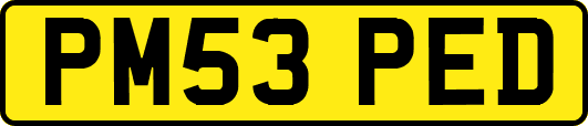 PM53PED