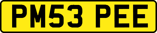 PM53PEE