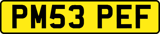 PM53PEF