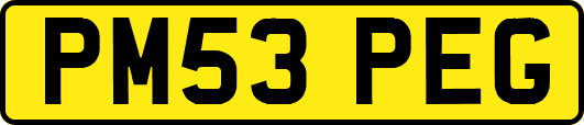 PM53PEG