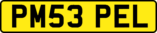 PM53PEL