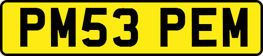 PM53PEM