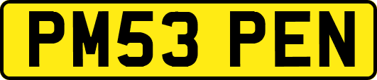 PM53PEN