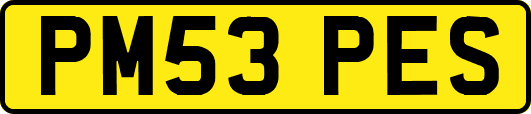 PM53PES