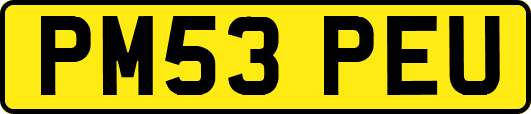 PM53PEU
