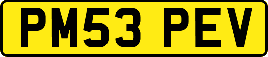 PM53PEV