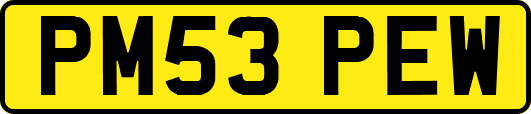 PM53PEW