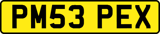 PM53PEX