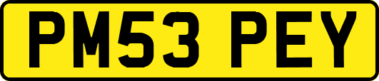 PM53PEY