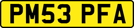 PM53PFA
