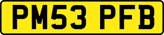 PM53PFB