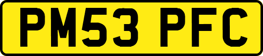 PM53PFC
