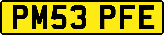 PM53PFE