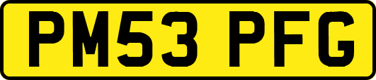 PM53PFG