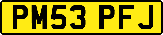 PM53PFJ