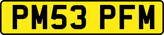 PM53PFM