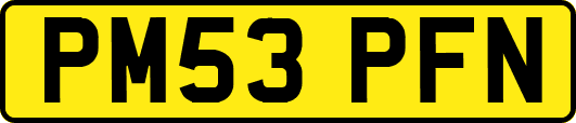PM53PFN