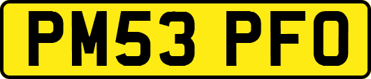PM53PFO