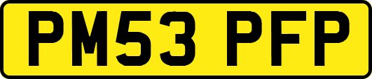 PM53PFP