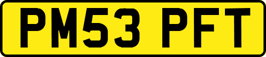 PM53PFT