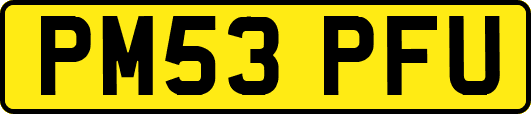 PM53PFU