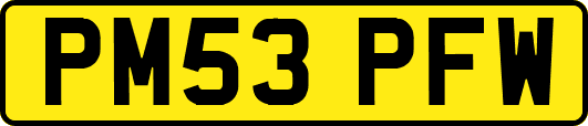 PM53PFW