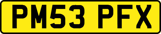 PM53PFX