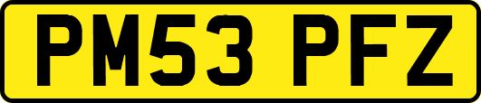 PM53PFZ