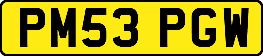 PM53PGW