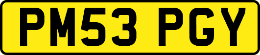 PM53PGY