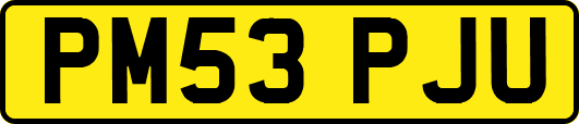 PM53PJU