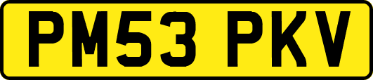 PM53PKV