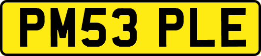 PM53PLE