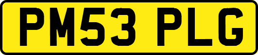 PM53PLG
