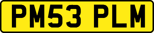 PM53PLM