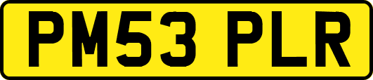 PM53PLR