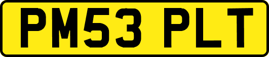 PM53PLT