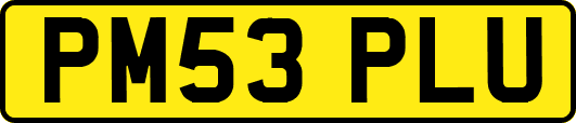 PM53PLU