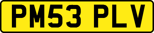 PM53PLV