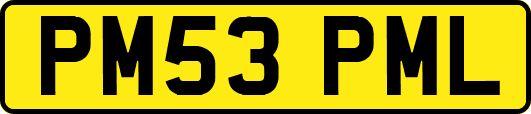 PM53PML