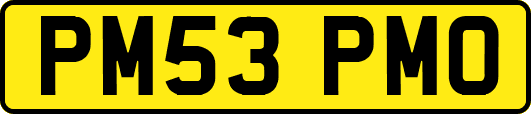PM53PMO
