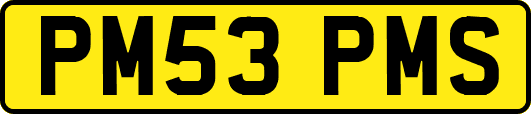 PM53PMS