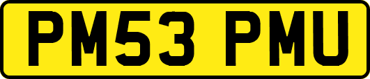 PM53PMU