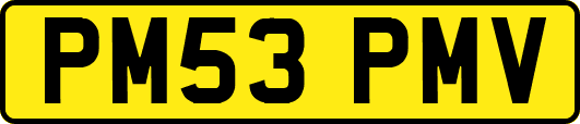 PM53PMV